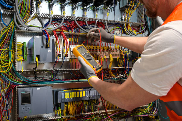 Best Electrical System Inspection  in Buchanan, GA